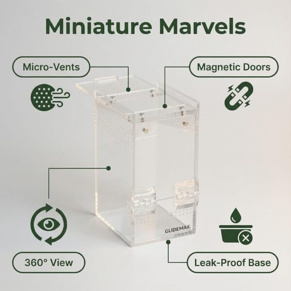 Acrylic Jumping Spider Enclosure 3x3x6