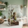 3x3x6 Jumping spider enclosure