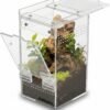 Acrylic jumping spider enclosure