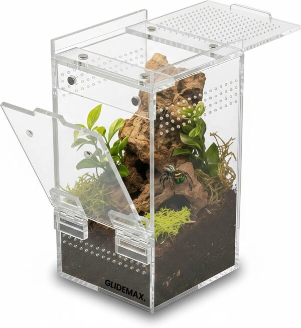 Acrylic jumping spider enclosure